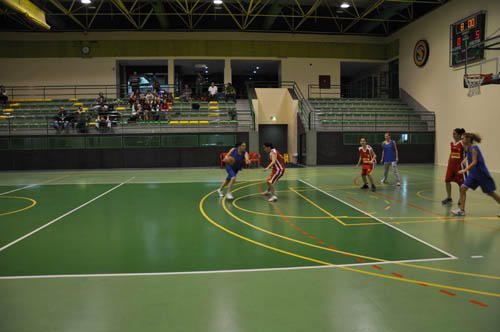 sbbl (79)